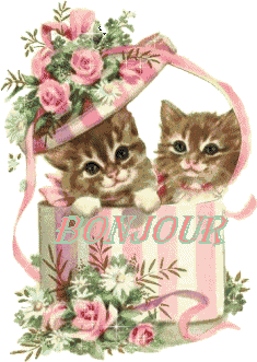 bonjour a tout