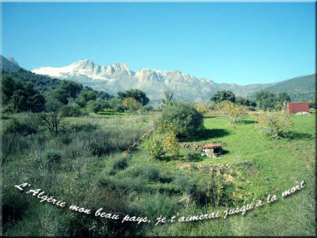 la montagne