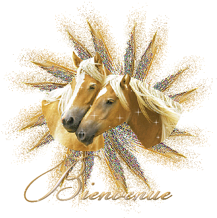 bienvenus